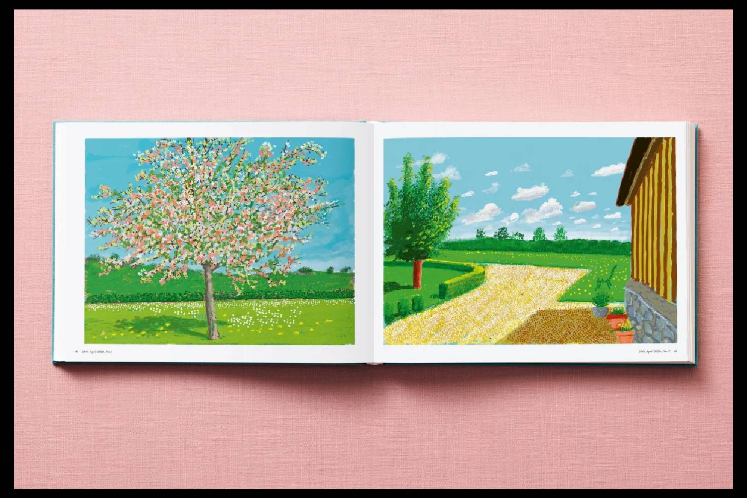 David Hockney. 220 for 2020 - immagine 5