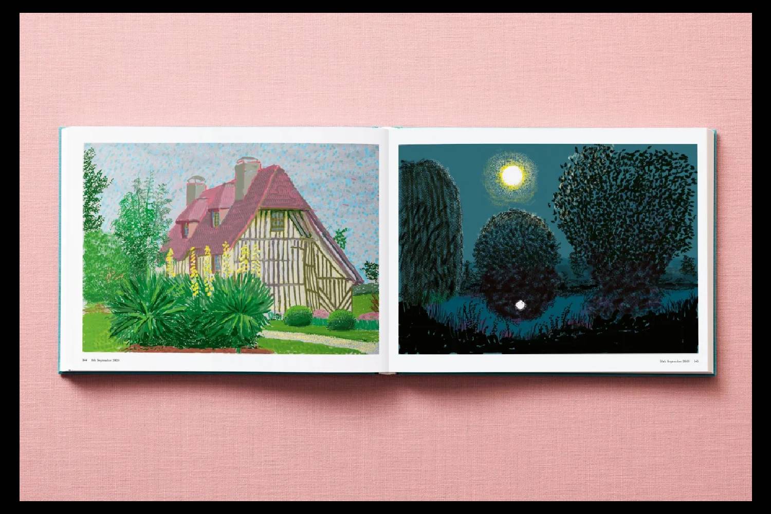 David Hockney. 220 for 2020 - immagine 3