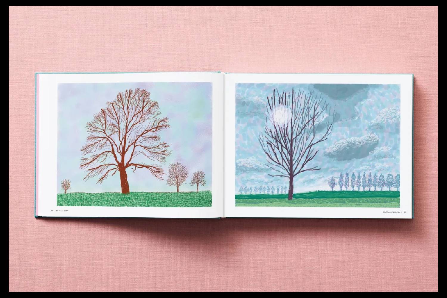 David Hockney. 220 for 2020 - immagine 6